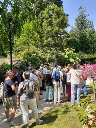 amuseurs-des-arbres-vah