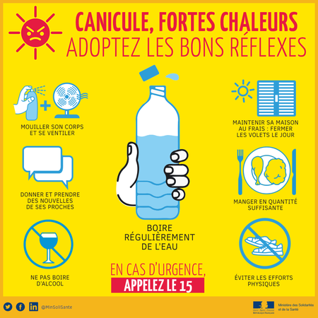 PLAN CANICULE imagelarge