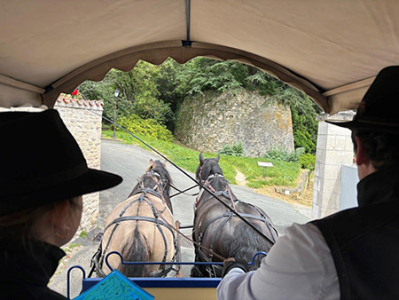 criniere-au-vent-Fontenay-autrement
